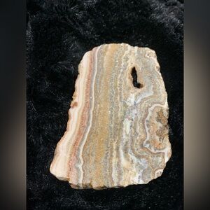 Petrified wood slim small slab 3.5” x 2.5”